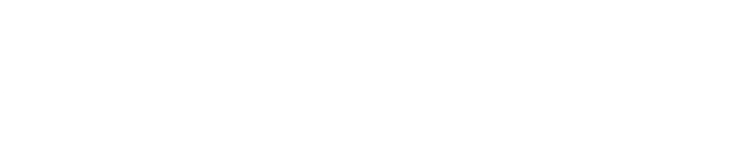 Evolution Travel